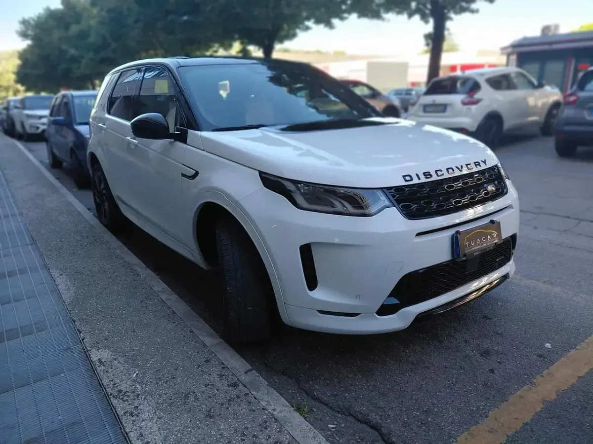Usata Land Rover Discovery Sport SE Dynamic 199 CV (146 kW) 2022 Bianco SUV