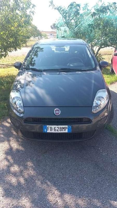Usata Fiat Punto Lounge 69 CV (50 kW) 2016 Grigio Berlina