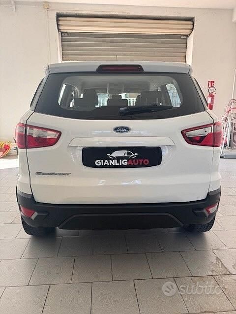 Usata Ford Ecosport Business Edition 95 CV (69 kW) 2016 Bianco SUV
