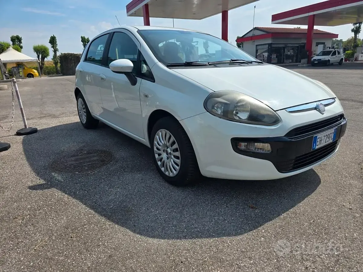Usata Fiat Punto Evo Active 69 CV (50 kW) 2011 Bianco Utilitaria
