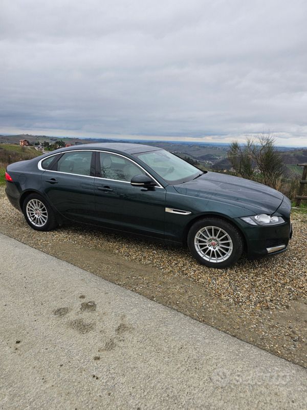 Usata Jaguar XF 2016 Verde Berlina