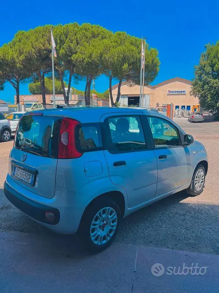 Usata Fiat Panda Easy 69 CV (50 kW) 2020 Grigio Utilitaria