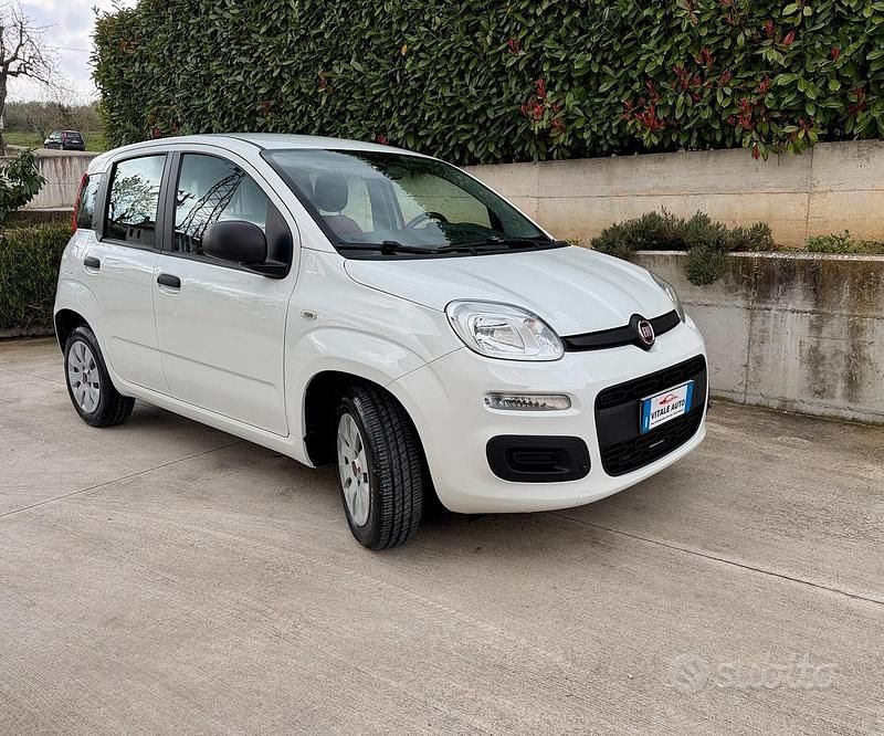 Usata Fiat Panda Easy 69 CV (50 kW) 2020 Bianco Utilitaria