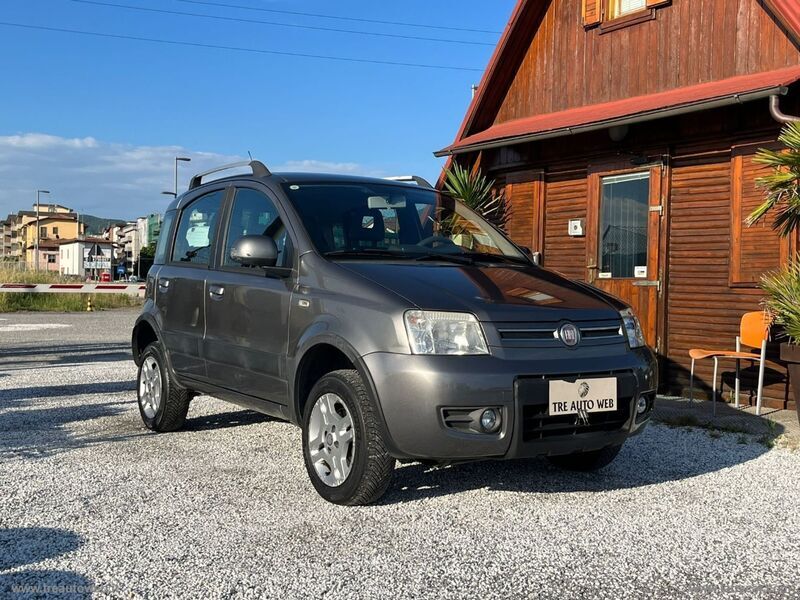 Usato 2010 Fiat Panda 4x4 1.2 Diesel 69 CV (6.500 €)