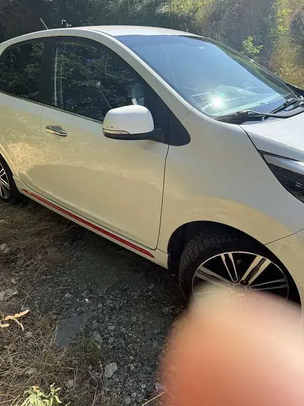 Usata Kia Picanto GT-Line 84 CV (61 kW) 2017 Bianco Utilitaria