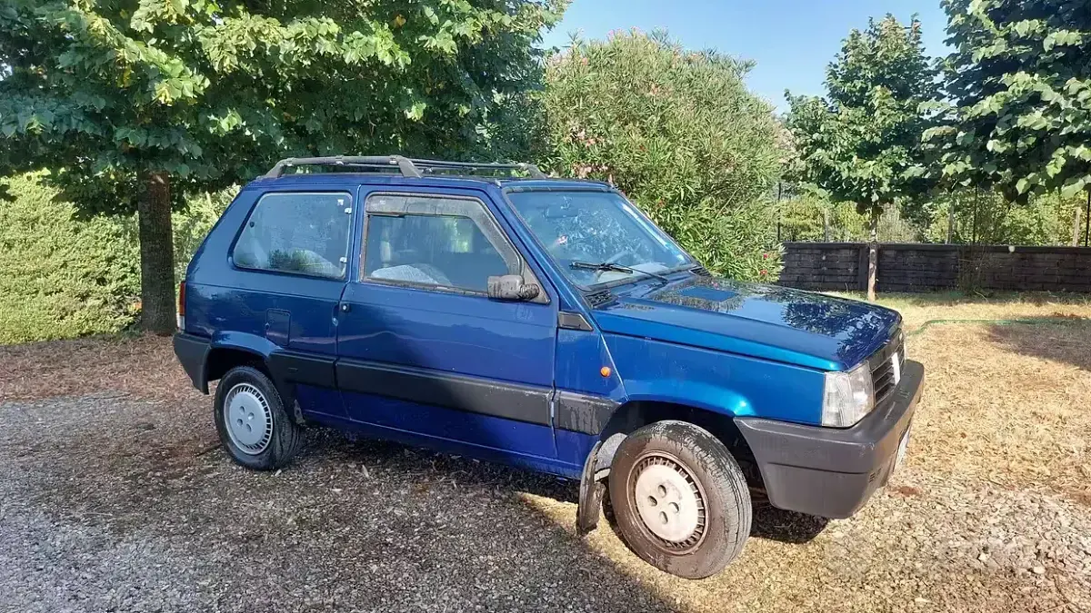 Usata Fiat Panda 54 CV (39 kW) 2001 Bluazzurro Berlina