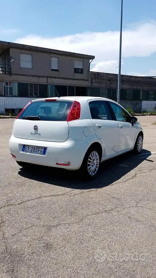 Usata Fiat Punto Evo 75 CV (55 kW) 2015 Bianco Utilitaria