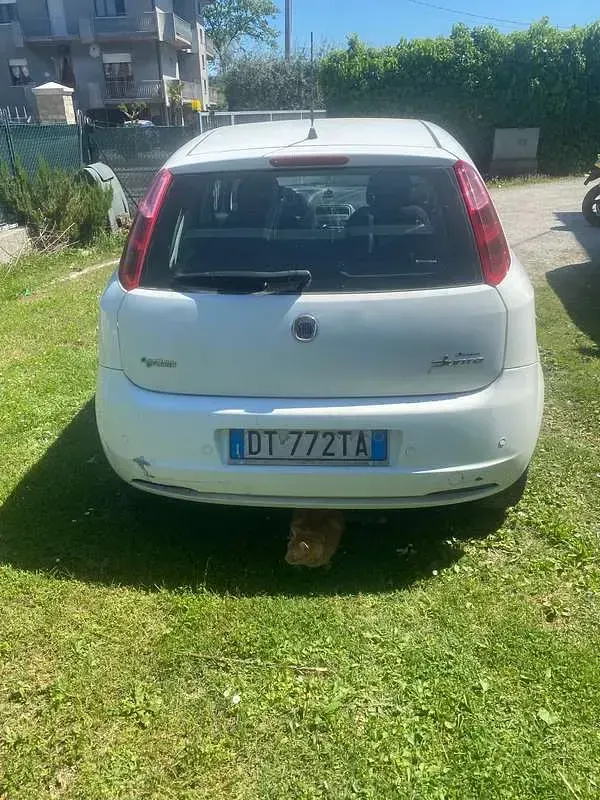Usata Fiat Grande Punto Dynamic 77 CV (56 kW) 2009 Bianco Utilitaria