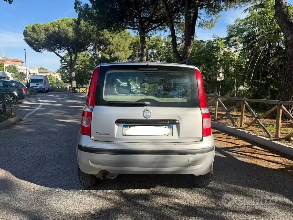 Usata Fiat Panda Dynamic 60 CV (44 kW) 2006 Grigio Utilitaria