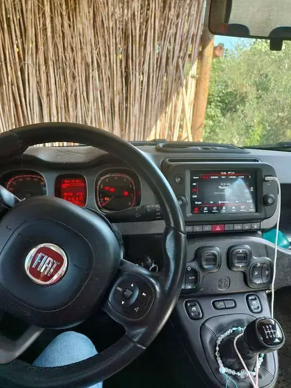 Usata Fiat Panda Cross Cross 86 CV (63 kW) 2021 Verde Utilitaria