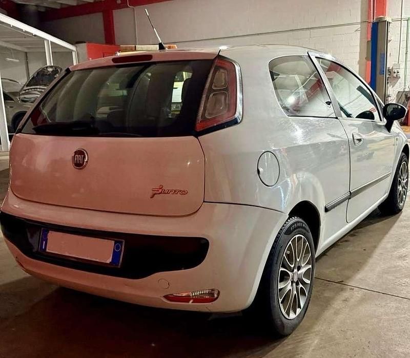 Usata Fiat Punto Active 69 CV (50 kW) 2011 Berlina