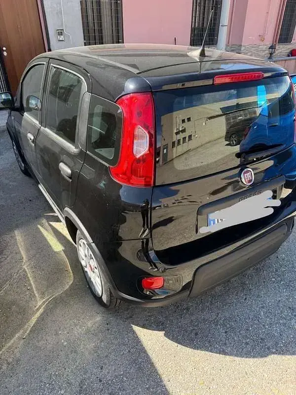 Usata Fiat Panda Cross Cross 69 CV (50 kW) 2022 Utilitaria