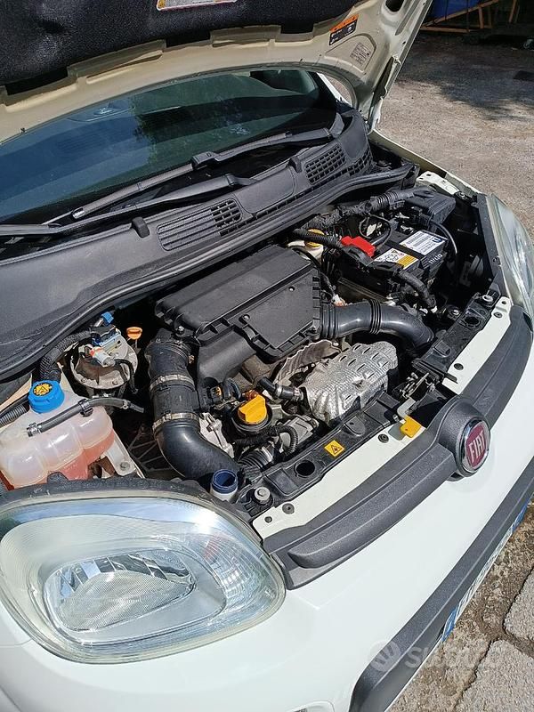 Usata Fiat Panda 4x4 75 CV (55 kW) 2017 Bianco Utilitaria