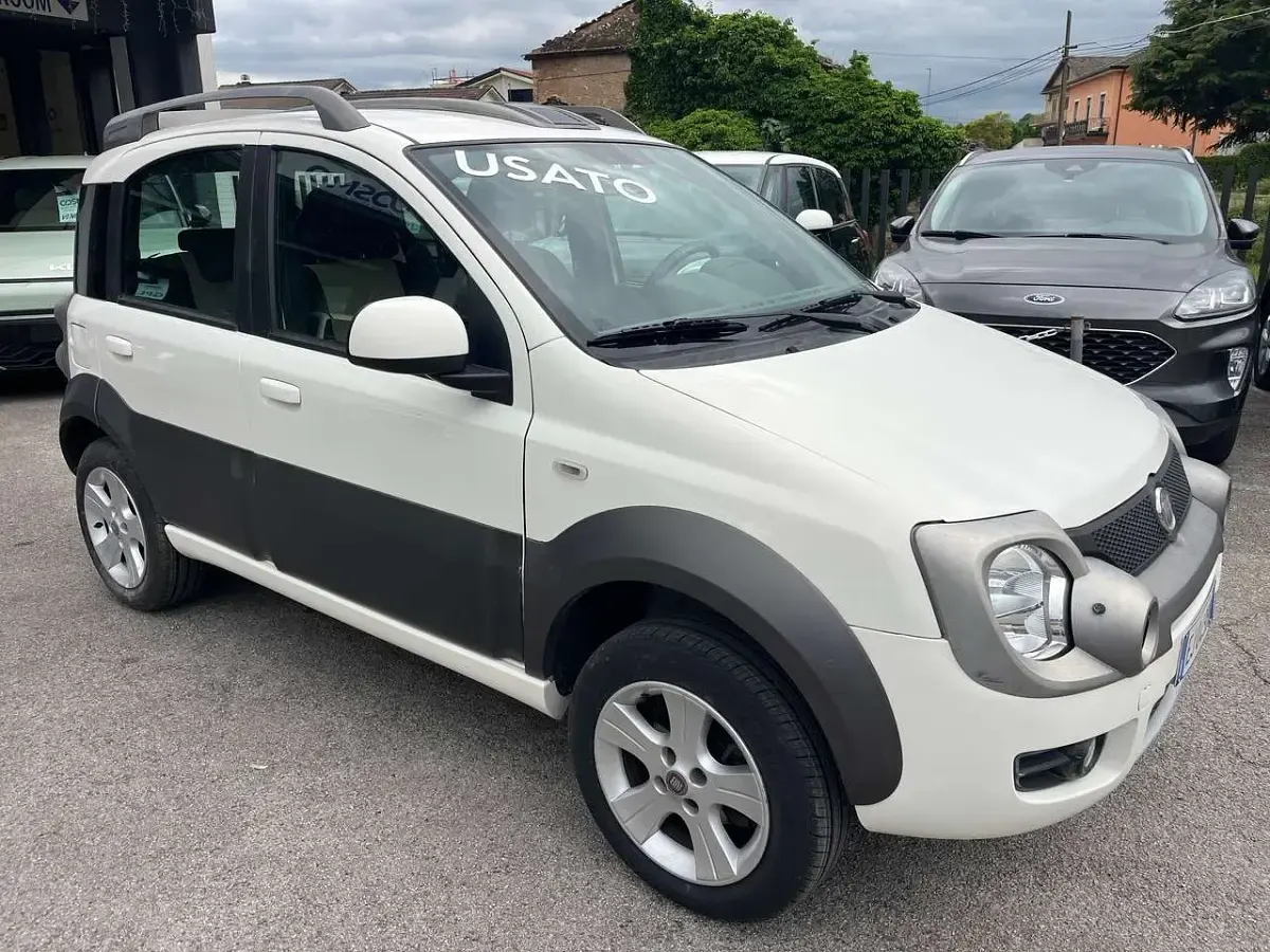 Usata Fiat Panda 4x4 Cross 75 CV (55 kW) 2011 Bianco Utilitaria