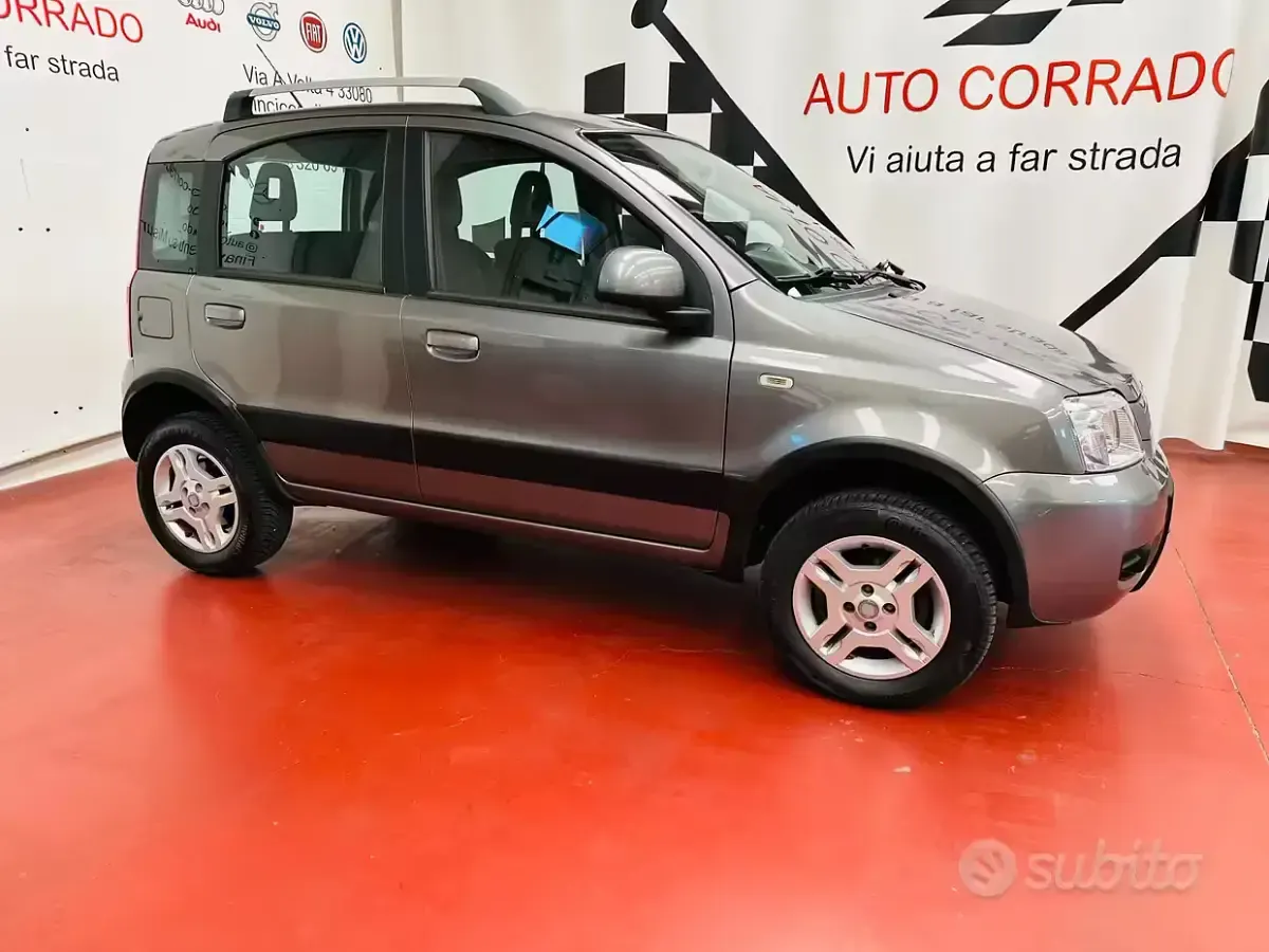 Usata Fiat Panda 4x4 60 CV (44 kW) 2010 Grigio Utilitaria