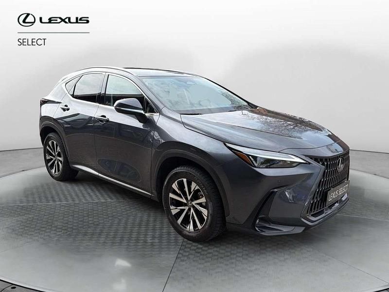 Usata Lexus NX300h 243 CV (178 kW) 2022 Grigio SUV