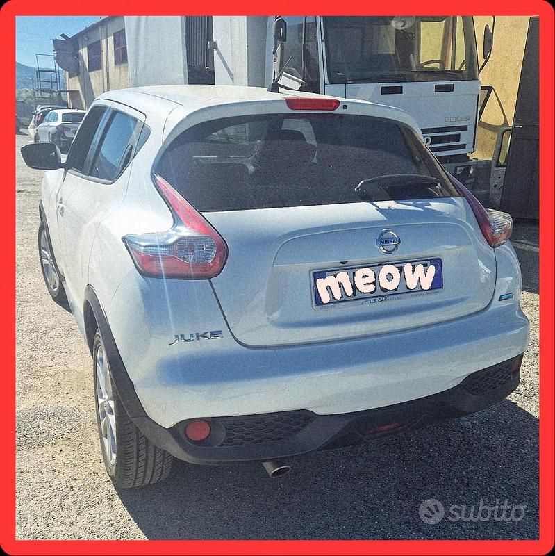 Usata Nissan Juke 110 CV (80 kW) 2014 Bianco SUV