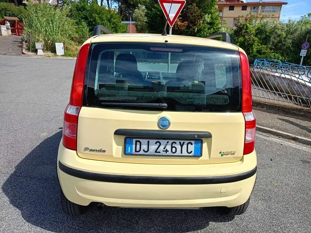 Usata Fiat Panda Dynamic 60 CV (44 kW) 2007 Giallo Utilitaria