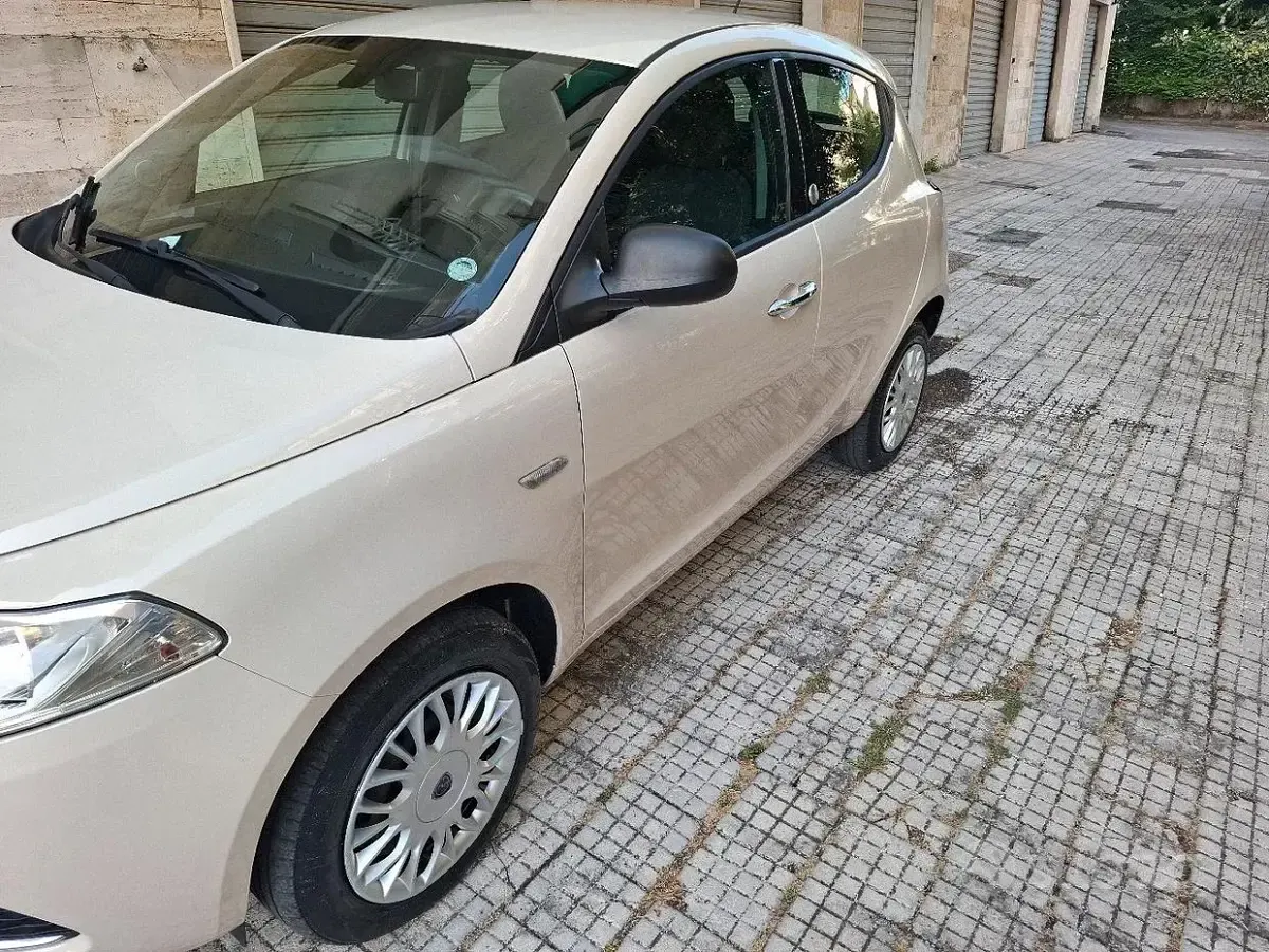 Usata Lancia Ypsilon 85 CV (62 kW) 2016 Bianco Utilitaria