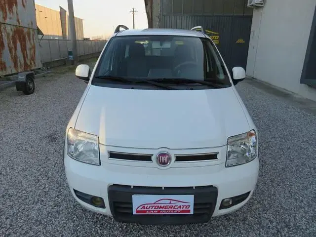 Usata Fiat Panda 4x4 Climbing 69 CV (50 kW) 2010 Bianco Utilitaria