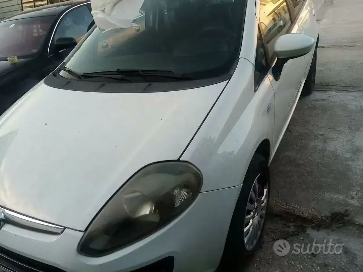 Usata Fiat Punto 77 CV (56 kW) 2012 Utilitaria