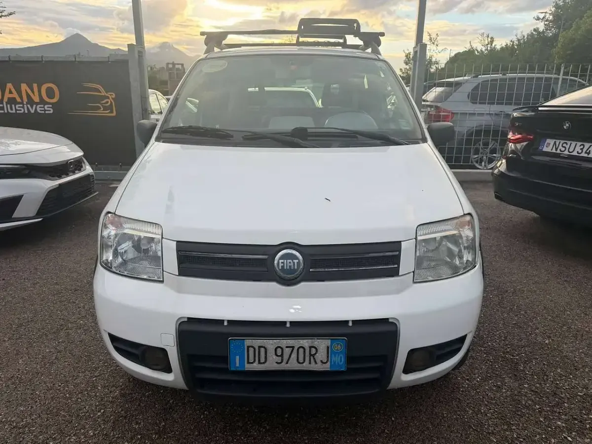 Usata Fiat Panda 4x4 Climbing 69 CV (50 kW) 2006 Bianco Utilitaria