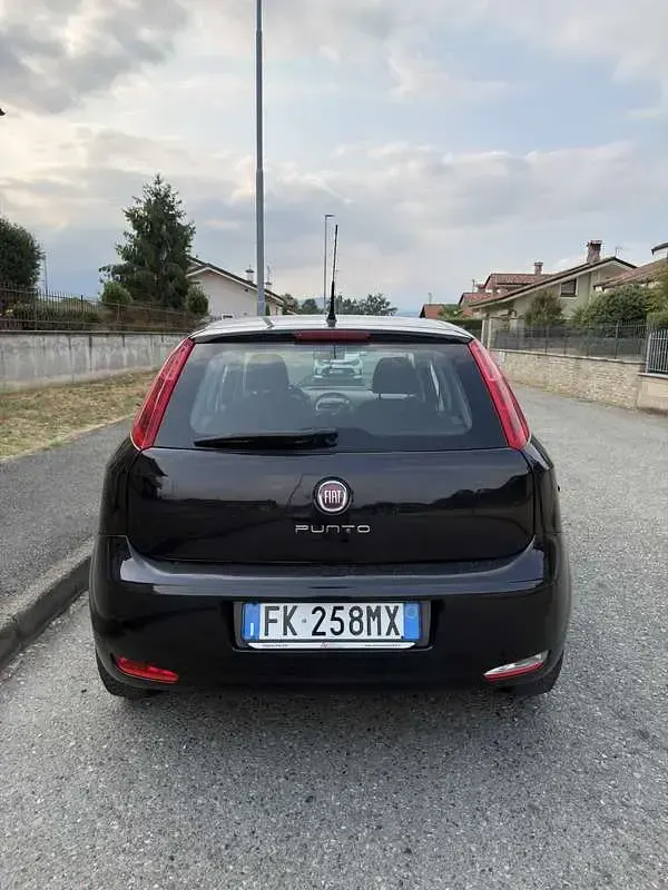 Usata Fiat Punto Lounge 95 CV (69 kW) 2017 Utilitaria