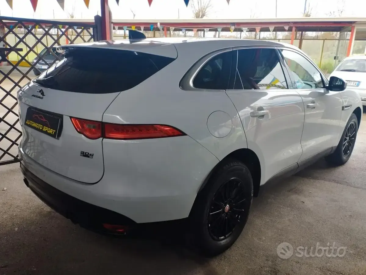 Usata Jaguar F-Pace Pure 300 CV (220 kW) 2019 Bianco SUV