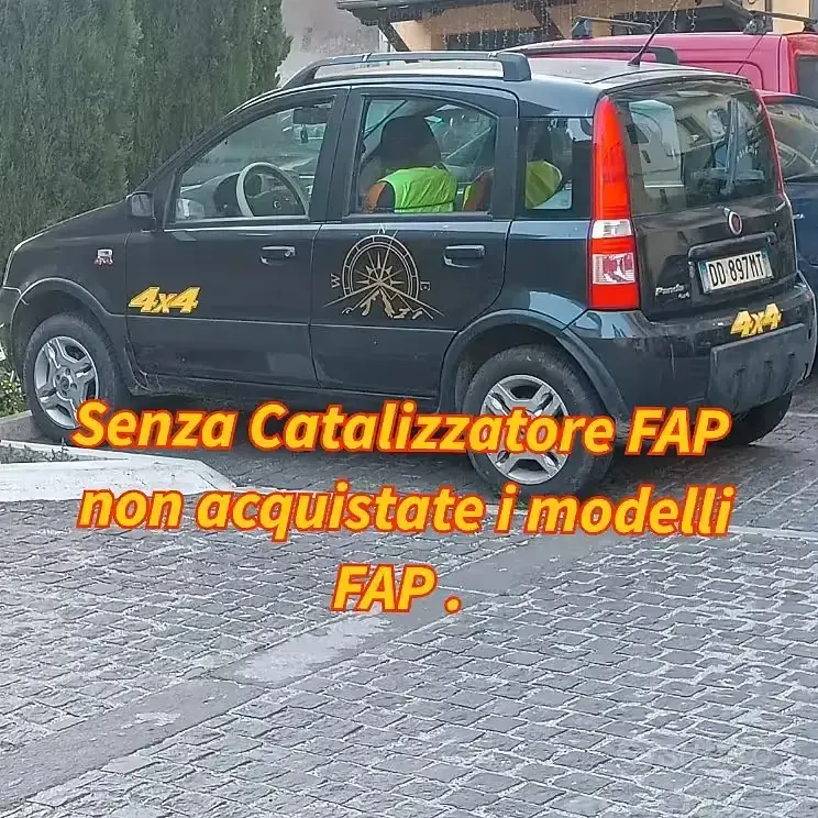 Usata Fiat Panda 4x4 60 CV (44 kW) 2006 Utilitaria