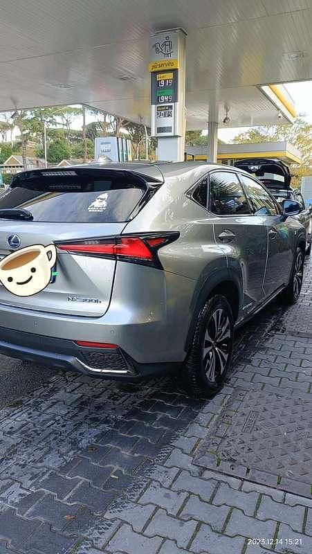 Usata Lexus NX300h Sport Line 155 CV (114 kW) 2018 Grigio SUV