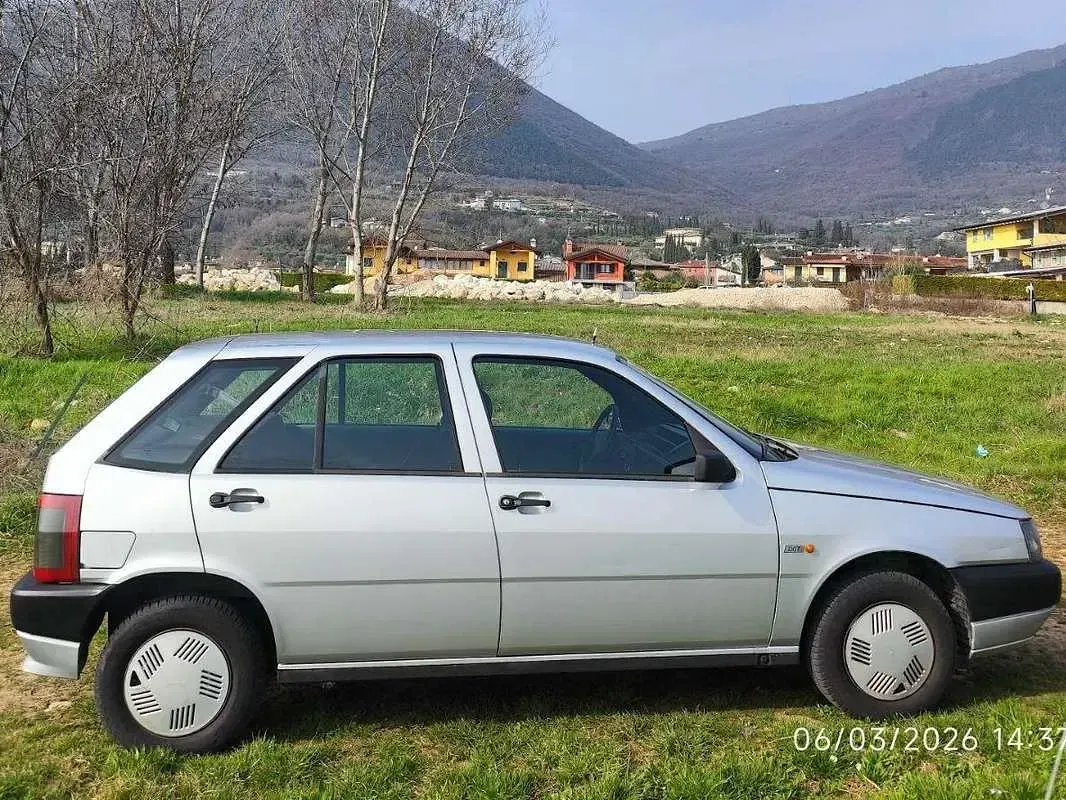 Usata Fiat Tipo 56 CV (41 kW) 1988 Argento Utilitaria