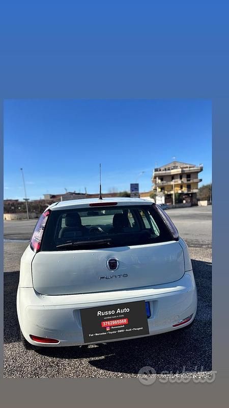 Usata Fiat Punto Lounge 69 CV (50 kW) 2012 Bianco Berlina