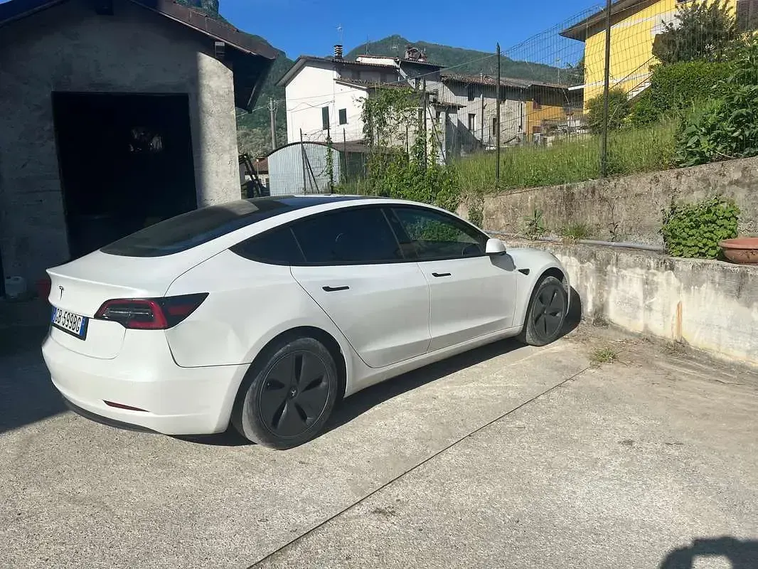 Occasion Tesla Model 3 Standard Range 88 kW (120 ch) 2020 Blanc Berline