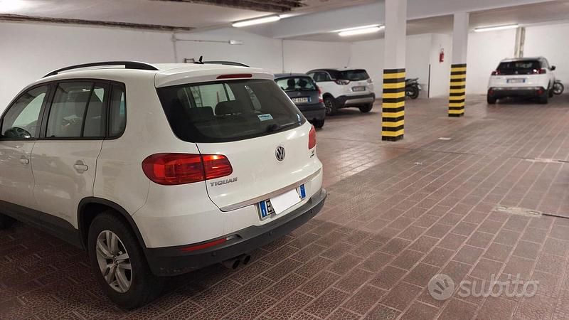 Usata VW Tiguan 110 CV (80 kW) 2015 Bianco SUV