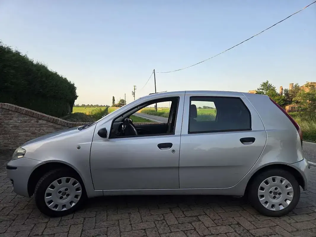 Usata Fiat Punto Active 52 CV (38 kW) 2009 Utilitaria