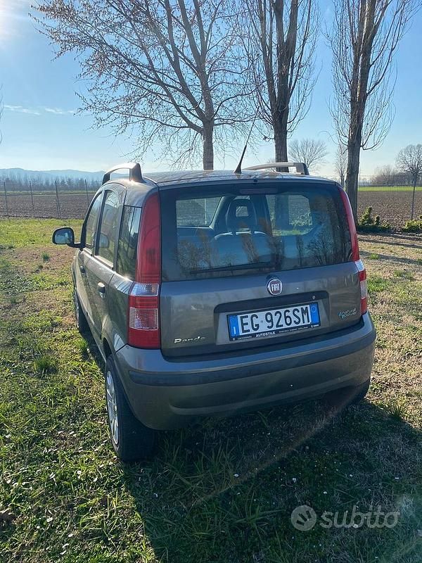 Usata Fiat Panda Dynamic 60 CV (44 kW) 2011 Grigio Utilitaria