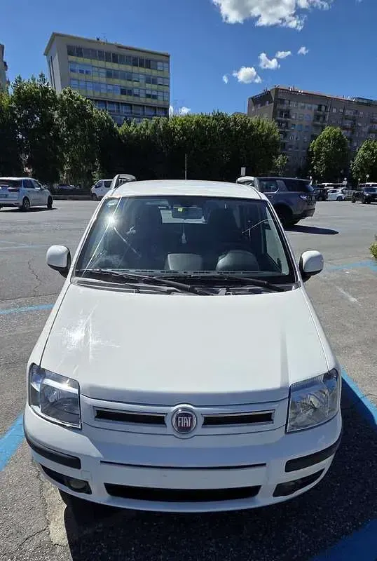 Usata Fiat Panda Dynamic 69 CV (50 kW) 2009 Utilitaria