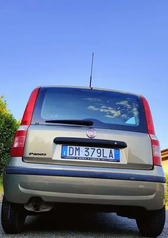 Usata Fiat Panda Emotion 60 CV (44 kW) 2008 Oro Utilitaria