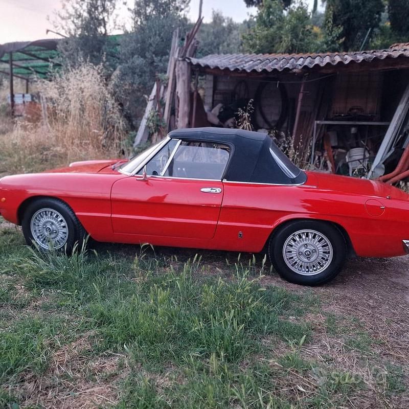 Usata Alfa Romeo Spider 1970 Rosso Cabrio