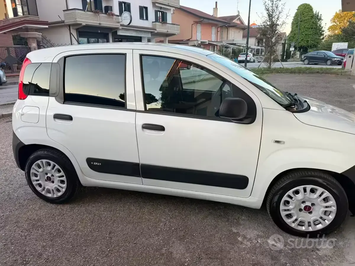 Usata Fiat Panda 80 CV (58 kW) 2016 Bianco Utilitaria
