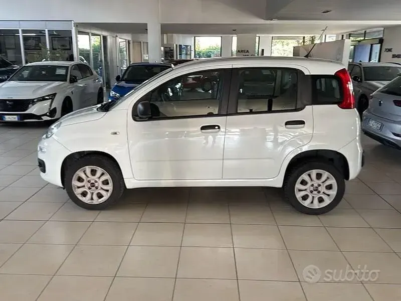 Usata Fiat Panda Easy 80 CV (58 kW) 2018 Bianco Utilitaria