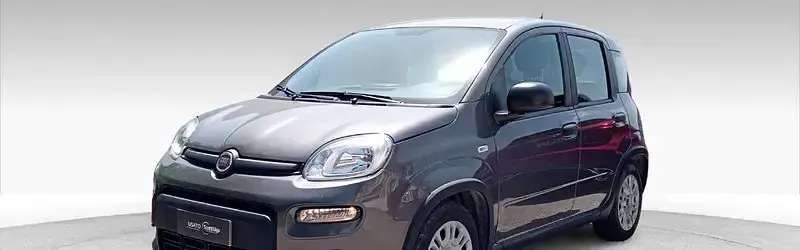 Usata Fiat Panda S 69 CV (50 kW) 2023 Bianco Utilitaria
