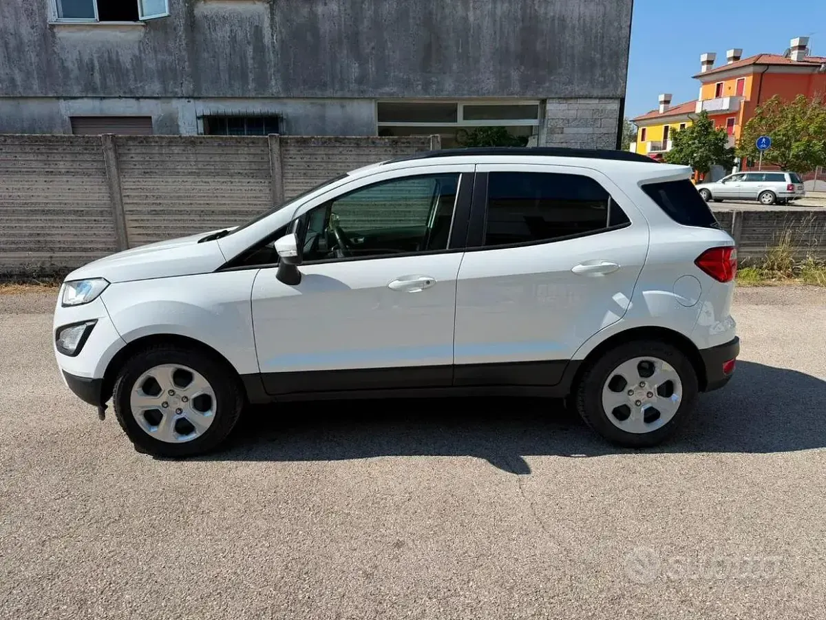 Usata Ford Ecosport 99 CV (72 kW) 2019 Bianco SUV