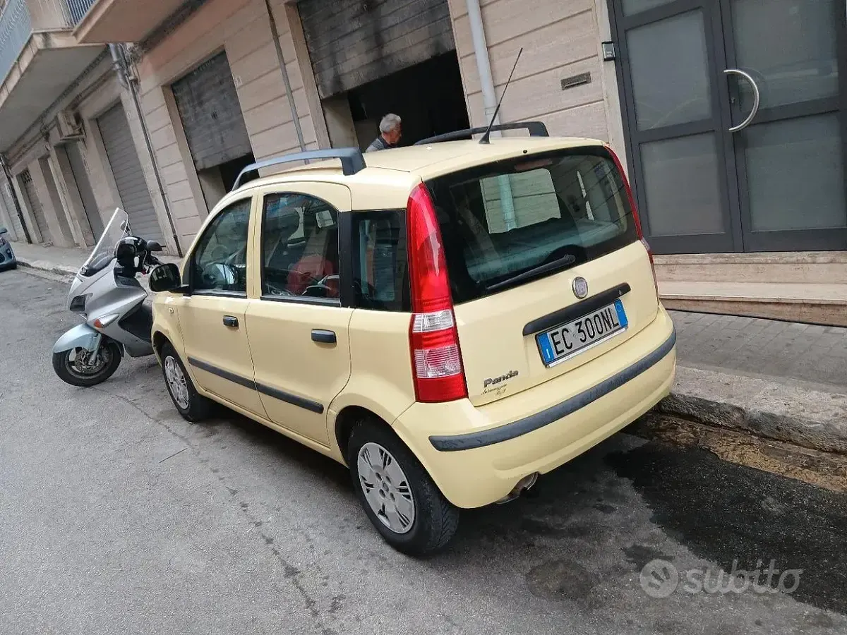 Usata Fiat Panda 60 CV (44 kW) 2010 Giallo Utilitaria