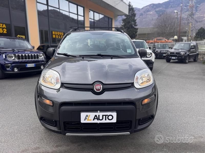 Usata Fiat Panda 4x4 S 86 CV (63 kW) 2019 Grigio Utilitaria