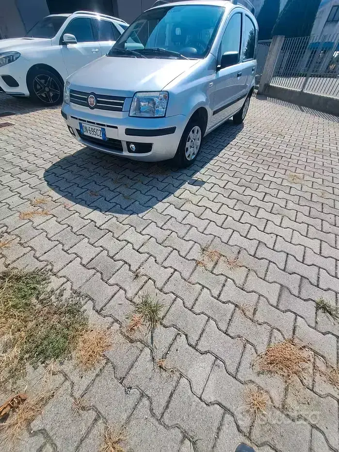 Usata Fiat Panda 60 CV (44 kW) 2008 Grigio Utilitaria