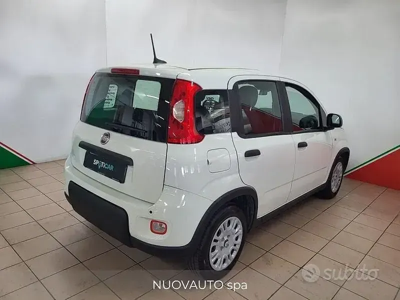 Usata Fiat Panda S 70 CV (51 kW) 2024 Bianco Utilitaria