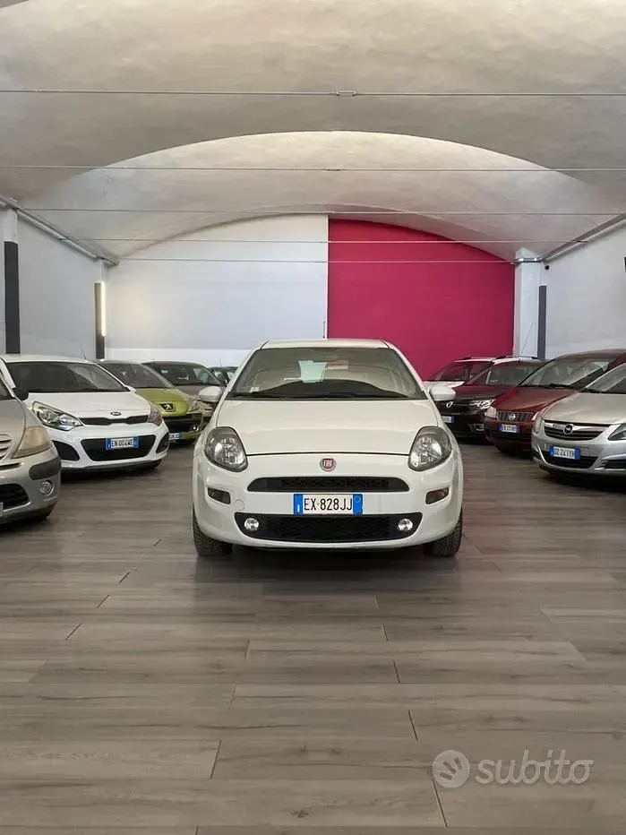 Usata Fiat Punto Lounge 70 CV (51 kW) 2014 Utilitaria