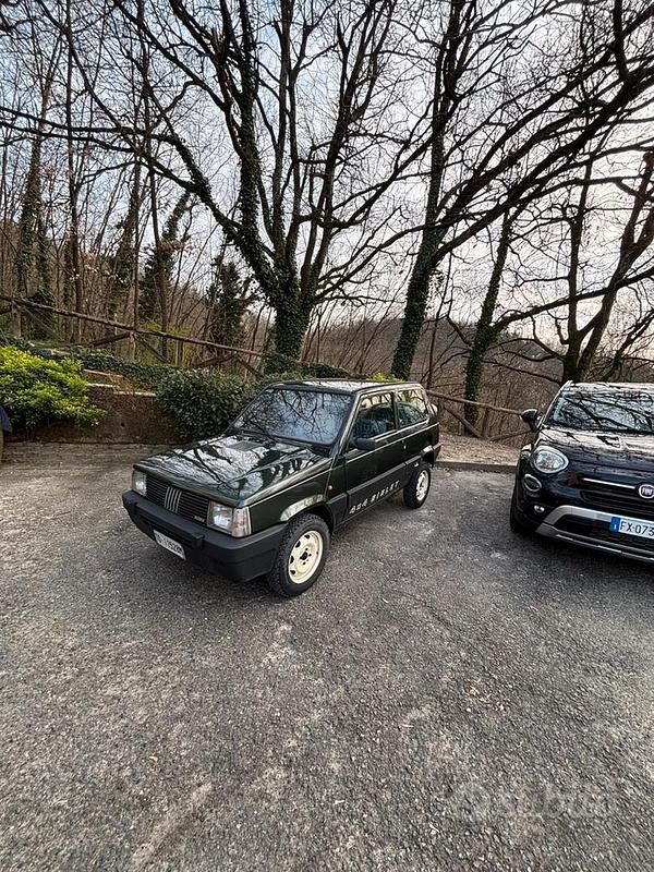 Usata Fiat Panda 1989 Verde SUV