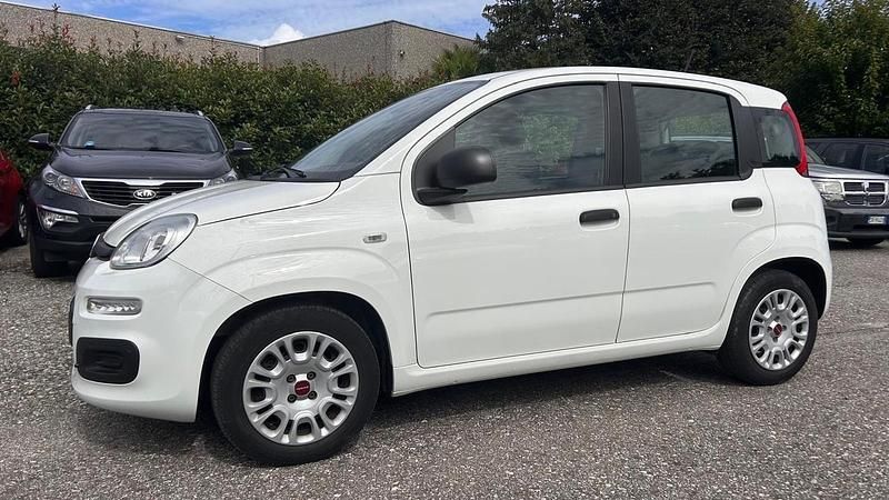Usata Fiat Panda Easy 69 CV (50 kW) 2020 Bianco Utilitaria